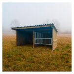 Abri Classic 20m2 + Libre Service